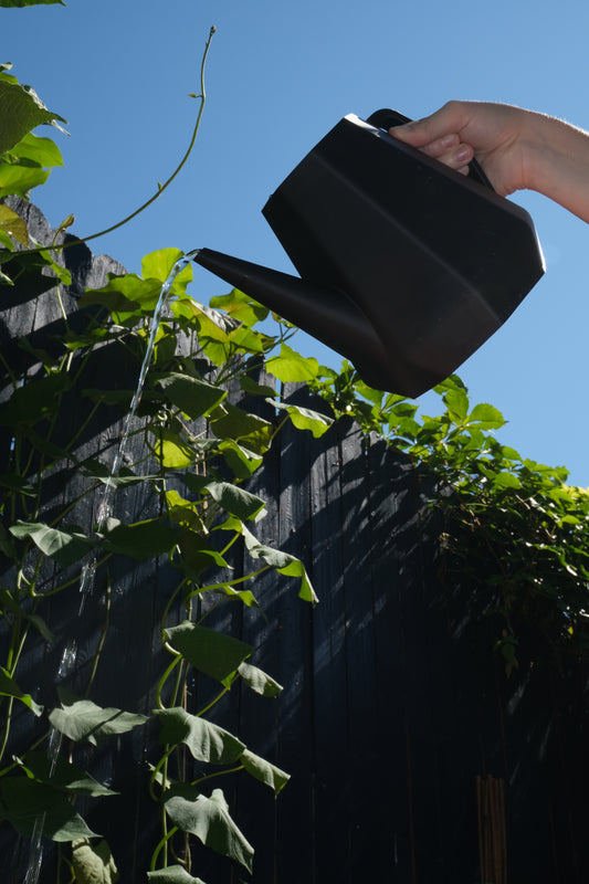 Winter Squash Watering Can