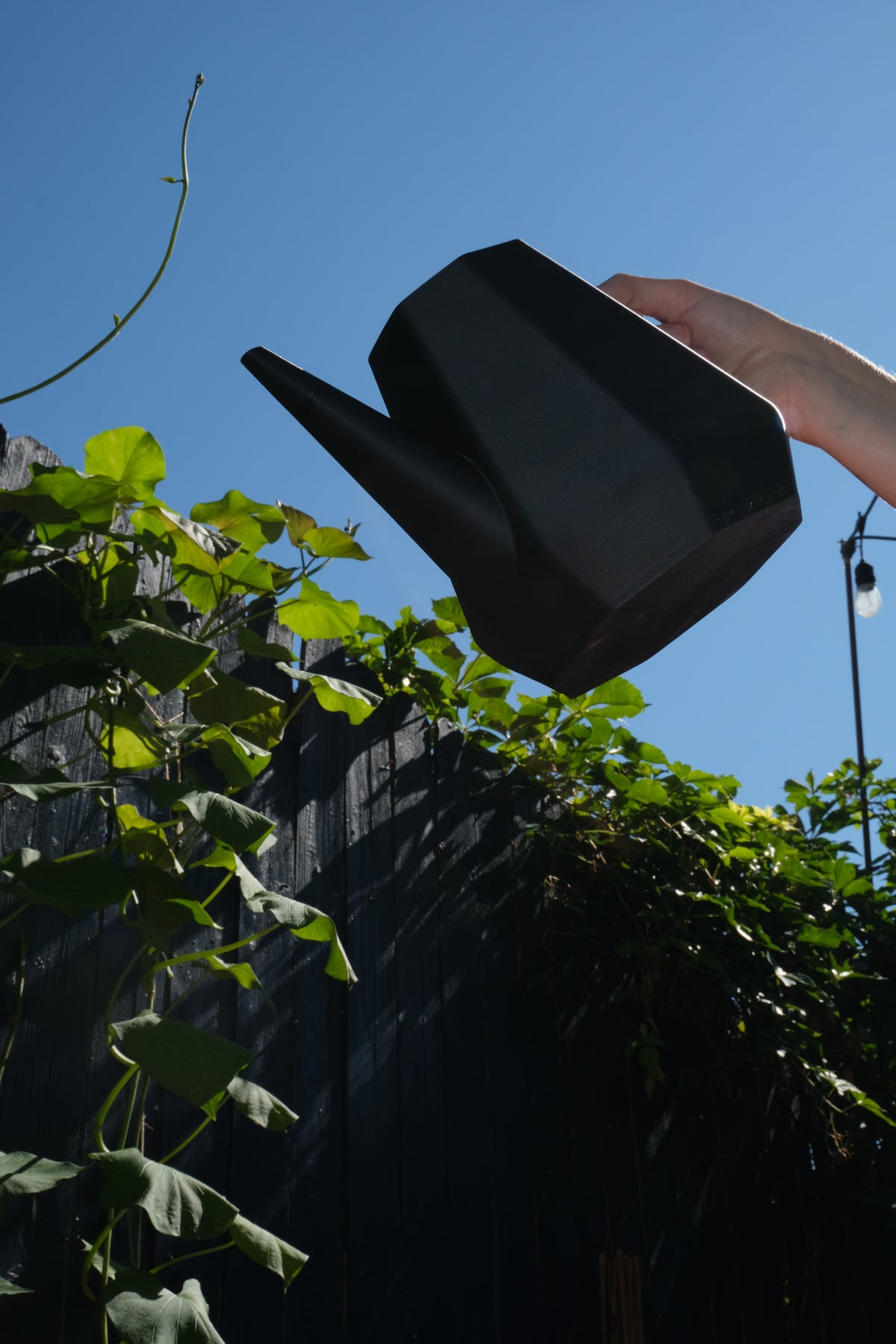 Winter Squash Watering Can