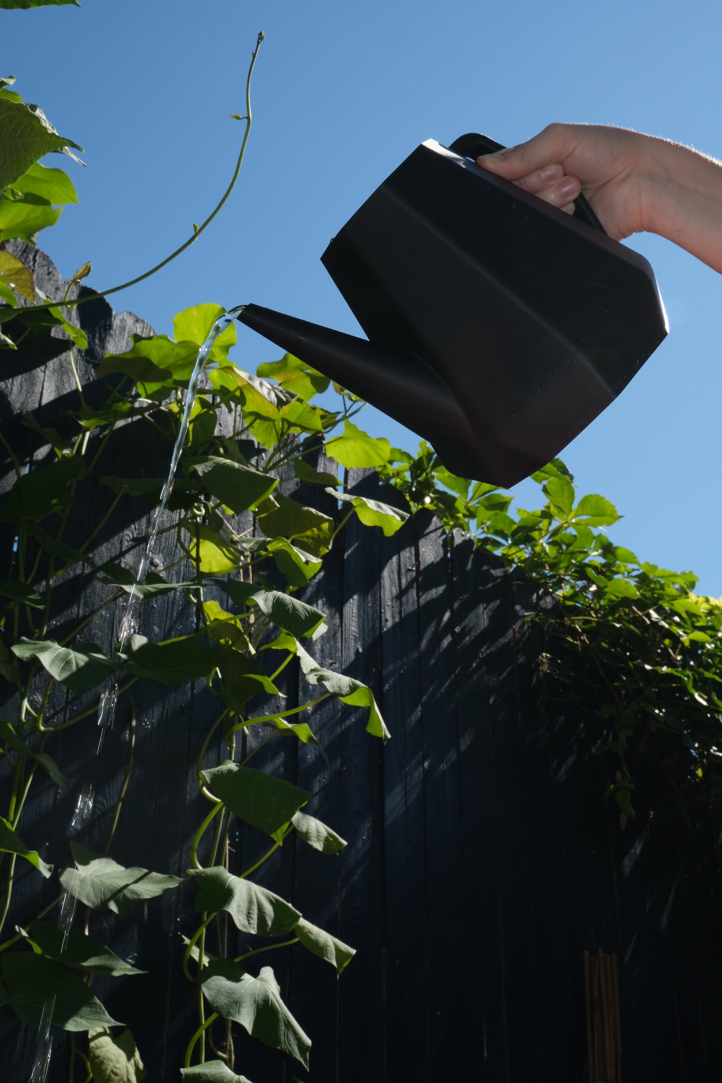 Winter Squash Watering Can