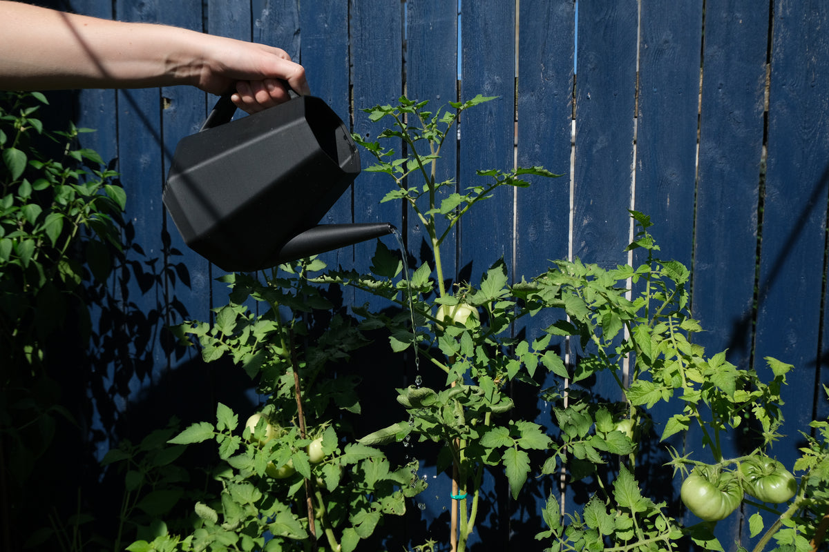 Winter Squash Watering Can